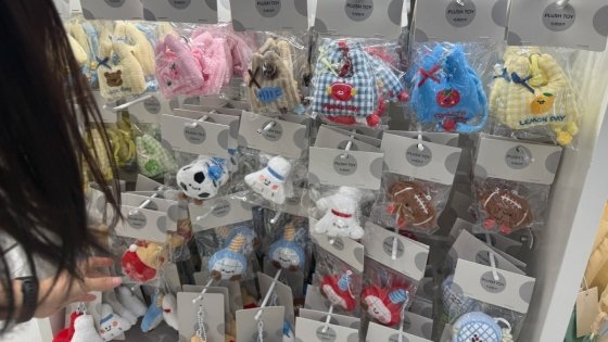 Soft Plush Charms Gain Rising Popularity Among Young Consumers